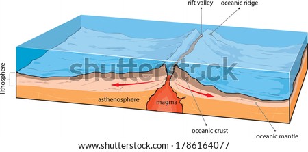 Vector illustration shows divergence of oceanic plates.