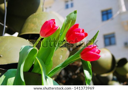 MOSCOW, RUSSIA - MAY 09: Victory day installation made of soldiers\' helmets and live red tulips placed on Kamergersky lane in Moscow city center. Victory Day celebration on May 09, 2013 in Moscow.