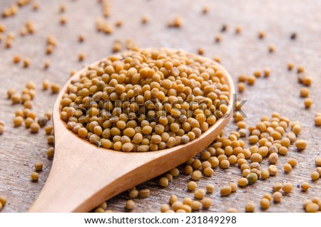 Mustard seeds for preparing mustard or seasoning.