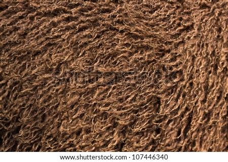 Clean Brown Wool of Young Lamb