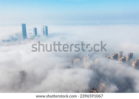 Similar – Image, Stock Photo Seagulls in the fog Autumn