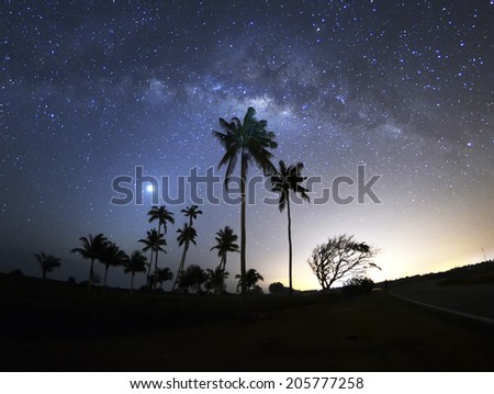 Night scene with silhouette coconut tree and Milky Way Galaxy in sky . ( visible noise due to high ISO, soft focus , shallow DOF , slight motion blur )