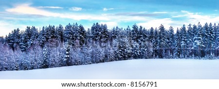 winter scenery in the north of Sweden