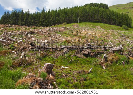 overexploitation of forests overexploitation of forests