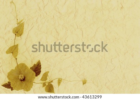 single flower on creamy paper textured background