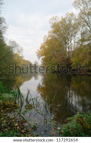 Beautiful autumn landscape with yellow tree on coast of the river and reflection in water