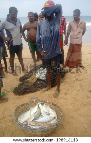 INDURUWA, SRI LANKA - 22 MAR 2014:  Fishermen sorting out the catch on the beach  in Induruwa, Sri Lanka.