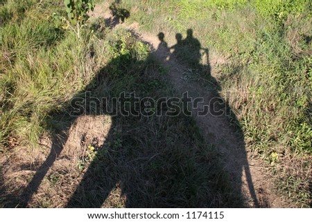Elephant ride in the Royal Chitwan National Park in Nepal.
