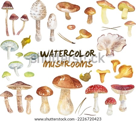 Hand Drawn Mushroom Brush Pack - Free Photoshop Brushes at Brusheezy!