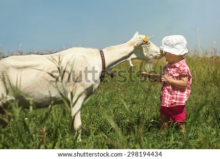 Little girl Outdoor play with a White Goat. Outdoor Holiday in Village farm
