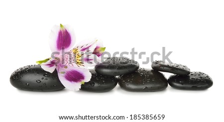 Stones and lily isolated on white background