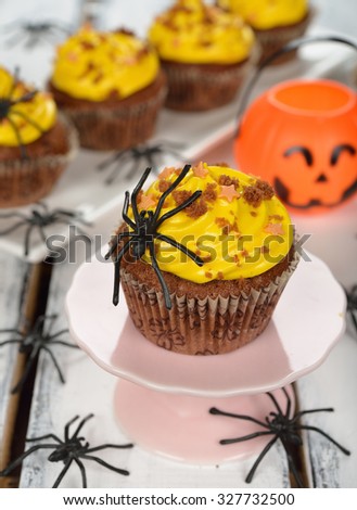 Cupcakes for Halloween on a white background