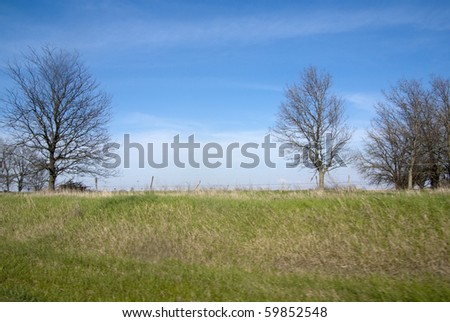 A view of a grassy country yard with trees and fencing.