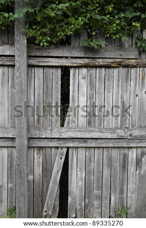 A broken wooden fence with shrubs.