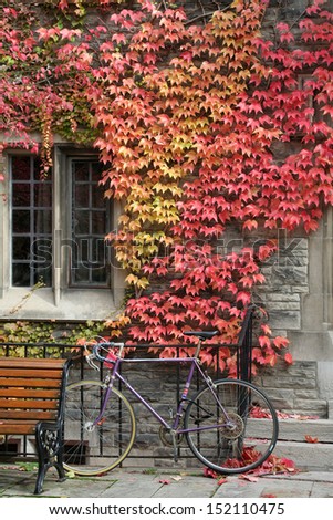 college building with fall ivy