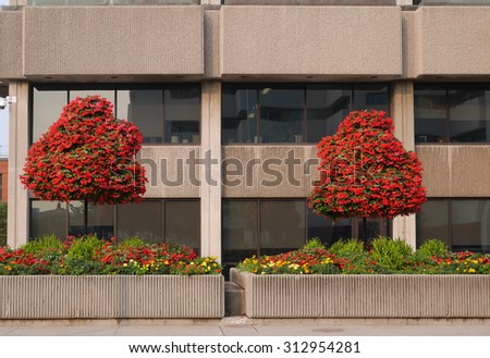 colorful landscaping outside an office building