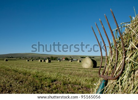 a pitchfork stuck in a bale of hay with a farm landscape in the background,  a hill and field of baled hay in the background.