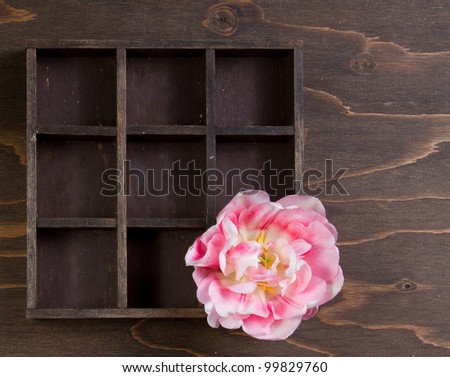 Tulip or rose in a minimalist arrangement on a wooden background