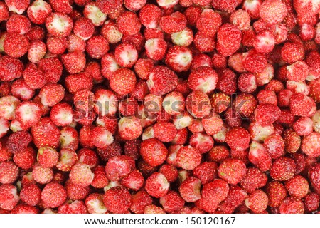 Small Meadowy Strawberries Texture