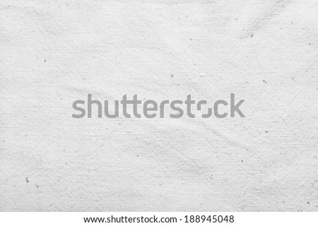 White Canvas Texture
