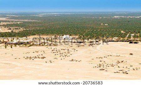 Aerial view to desert oasis at border of Sahara, Tunisia, Africa