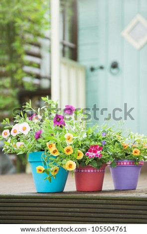 Pretty hand painted terracotta garden pots and summer flowers