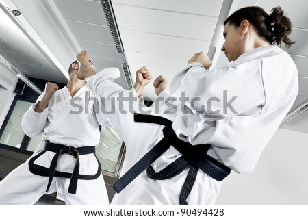 An image of two fighting martial arts master