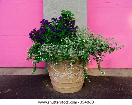 Outdoor flower vase arrangement in clay pot, pink doors