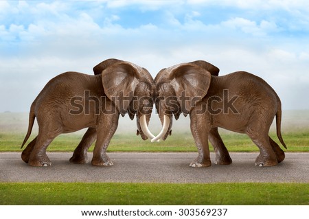 test of strength concept elephants pushing against each other