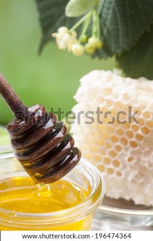 Linden honey on spoon with combs and fresh linden branch