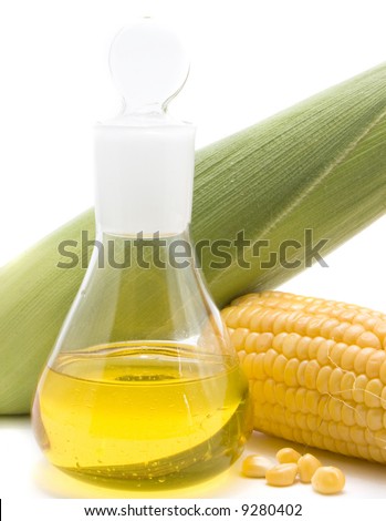 maize  corn and oil isolated