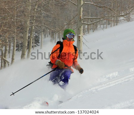 Man skiing with aspen trees in the background, Utah, USA.