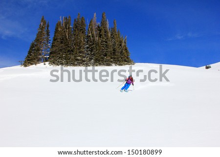 A woman skiing down a steep slope with a stand of fir in the background, Utah, USA.