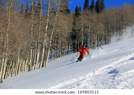 A man skiing with aspens in the background on a beautiful winter day, Utah, USA.