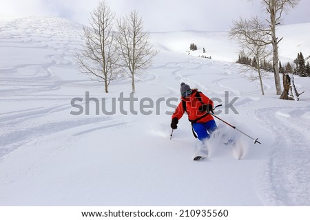 A woman skiing fresh powder snow in the Utah mountains, USA.