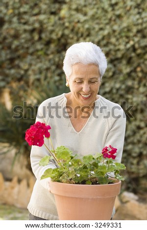 senior lady looking after her geraniums in her garden