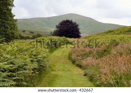 Rural path in the Scottish Borders, UK
