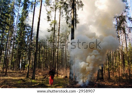 carrying wood to a fire