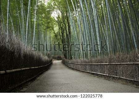 Bamboo grove in Arashiyama in Kyoto, Japan near the famous Tenryu-ji temple. Tenryuji is a Zen Buddhist temple which means temple of the heavenly dragon and is a World Cultural Heritage Site.