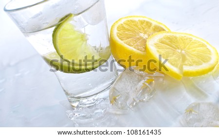 Vodka, lime and lemon in glass with ice