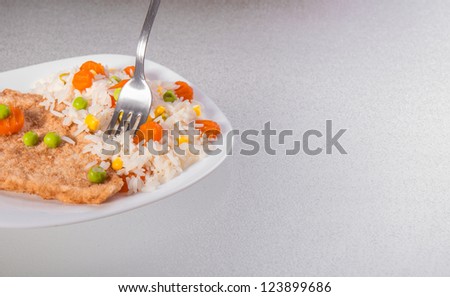 Chicken fillet with side dish of rice and vegetables, copyspace