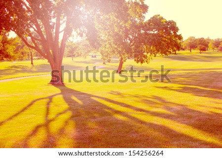 Sun shining through the trees. Fall landscape