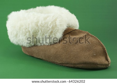 warm slipper