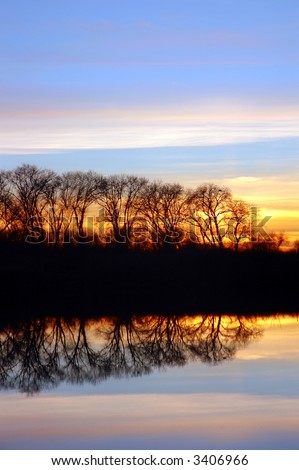 Winter Sunset and Silhouette of Oak Trees Reflected in Wildlife Pond, San Joaquin Delta, California