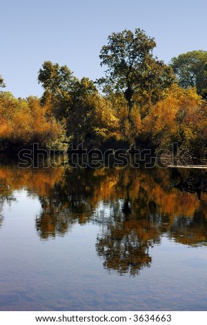 Postcard Autumn Reflection of Riparian Growth in Quiet Pool