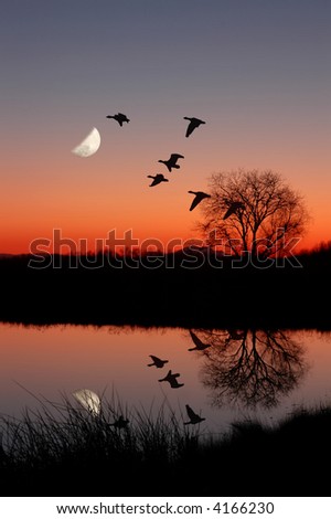 Wild Geese Flying Against Moon at Magic Hour Sunset, Reflected in Peaceful, Still Pond