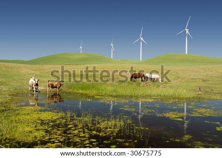 Reflection of Stark White Electrical Power Generating Windmills, Turbines on Rolling Hills of Green, Livestock, Cattle, Horses, Rio Vista, California