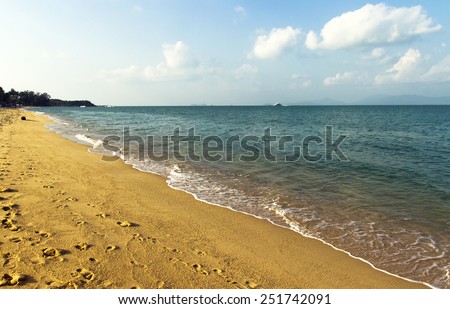 gold sand shoreline background. footprint on the nude beach