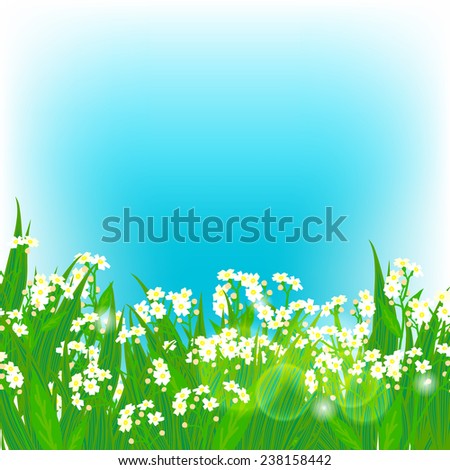 Vector card with small white  flowers on shining sky blue background. Template for garden store coupon, flower shop gift card, soap package, spring sale ad, baby shower or wedding invitation