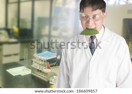 Scientists interested in the leaves in the laboratory.